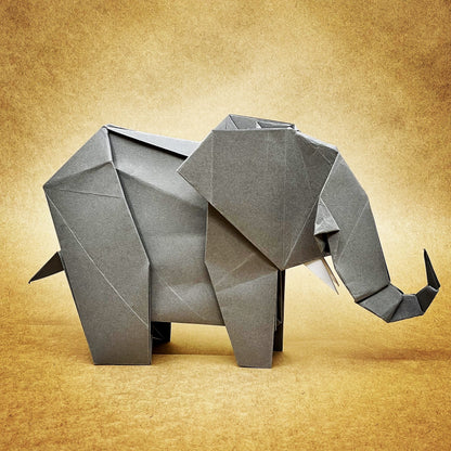 Origami Course