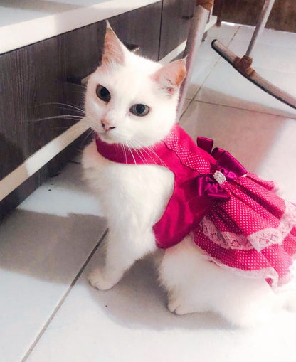 Sewww Pawsomely Purrfect!